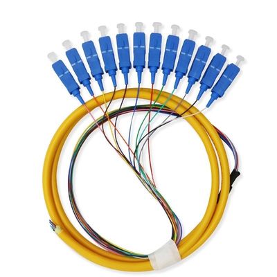 kopen 12 Core Single Mode SC Fiber Pigtail Cable for Networks Communication System Flexible online vervaardiging