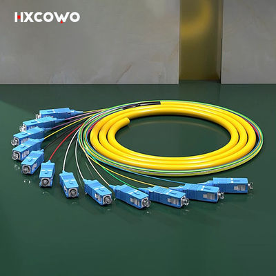 kopen 12 Core SC UPC APC LC FC ST E2000 SM MM OM2 OM3 OM4 Fiber Optic Pigtail Ribbon Patch Cord online vervaardiging